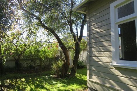 Photo of property in 4 Buccleugh Street, North East Valley, Dunedin, 9010