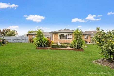Photo of property in 14 Clifford Place, Amberley, 7410