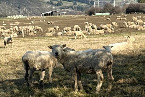 Photo of property in 23a Hythe Street, Athol, 9793