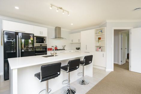 Photo of property in 19 Karina Terrace, Roslyn, Palmerston North, 4414