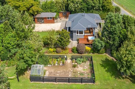 Photo of property in 51 Laward Road, Shannon, Palmerston North, 4474