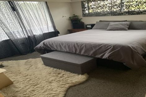 Photo of property in 19 Moloney Terrace, Pukekohe, 2120