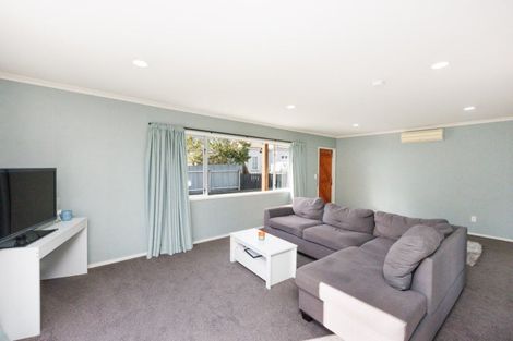 Photo of property in 22a Marlborough Street, Feilding, 4702