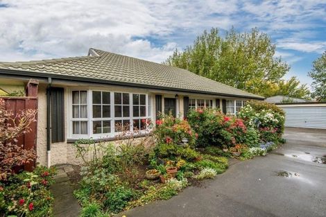 Photo of property in 1/29a Rata Street, Riccarton, Christchurch, 8041