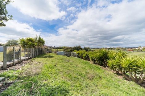 Photo of property in 49 Wapiti Avenue, Feilding, 4775