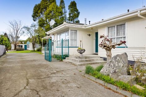 Photo of property in 20 Hinerua Street, Maungatapu, Tauranga, 3112