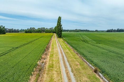 Photo of property in 20 Richardson Street, Glenorchy, 9372