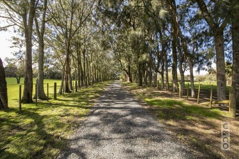 Photo of property in 353 Taylor Road, Helensville, Waimauku, 0882