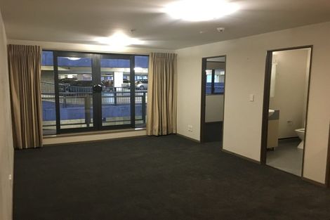 Photo of property in Dual Apartments, 103/142u Vivian Street, Te Aro, Wellington, 6011