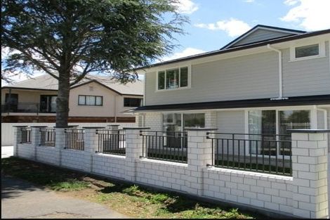 Photo of property in 51 Fifth Avenue, Enderley, Hamilton, 3214
