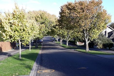 Photo of property in 22b Rainforth Street, Roslyn, Palmerston North, 4414