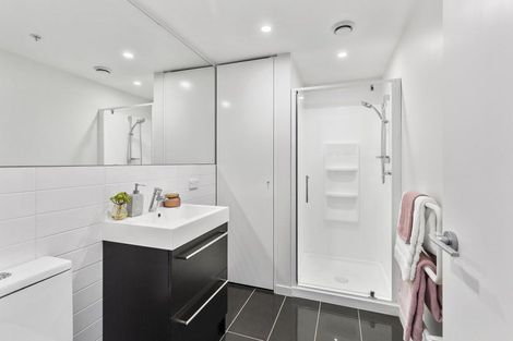 Photo of property in Nouvo Apartments, 21u3h Rugby Street, Mount Cook, Wellington, 6021