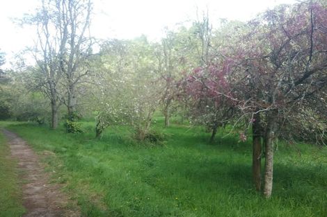 Photo of property in 88 Mark Road, Te Puke, 3188