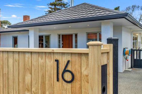 Photo of property in 16 Tregarth Street, Saint Johns Hill, Whanganui, 4501