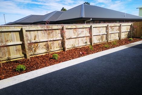 Photo of property in 37 Sussex Street, Levin, 5510