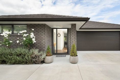 Photo of property in 10d4 Clive Road, Katikati, 3129
