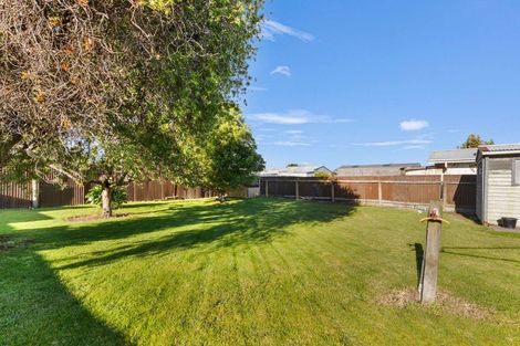 Photo of property in 7 Armagh Street, Levin, 5510
