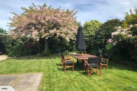 Photo of property in 256 King Street, Rangiora, 7400