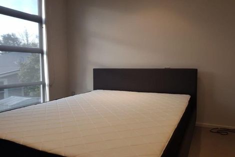 Photo of property in 9c Champion Street, Edgeware, Christchurch, 8013