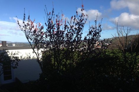 Photo of property in 1/6 Mataroa Avenue, Northland, Wellington, 6012