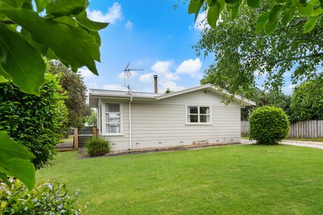 Photo of property in 79 Allen Street, Morrinsville, 3300