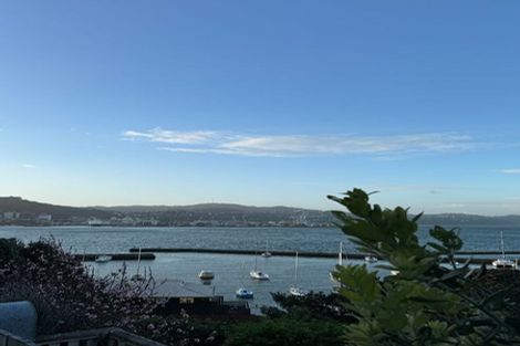 Photo of property in 98 Majoribanks Street, Mount Victoria, Wellington, 6011