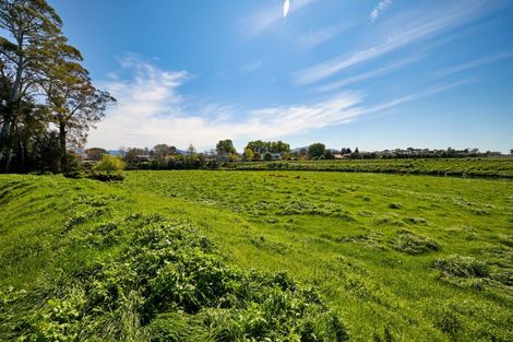 Photo of property in 55 Park Terrace, Blenheim, 7201
