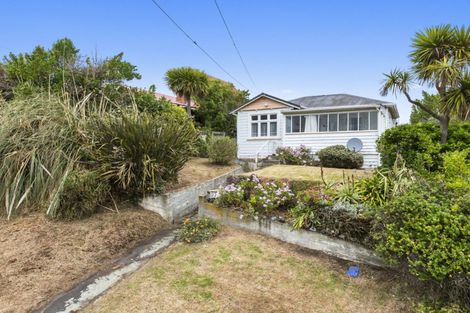 Photo of property in 22 Oregon Street, Ocean Grove, Dunedin, 9013