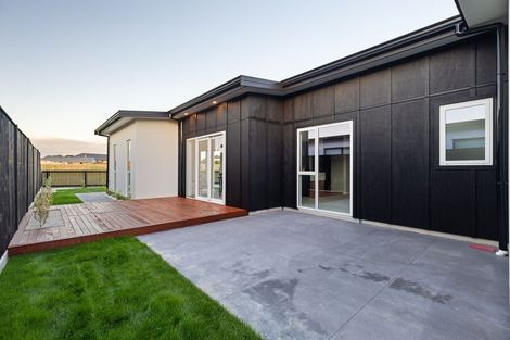 Photo of property in 20 Mangatainoka Lane, Awapuni, 4412