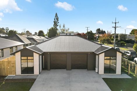 Photo of property in 17 Fend Street, Chartwell, Hamilton, 3210