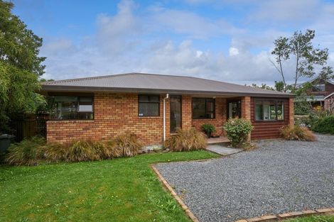 Photo of property in 283a Scarborough Street, Kaikoura, 7300