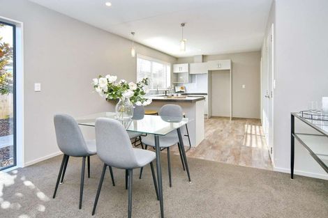 Photo of property in 9b Amstel Lane, Richmond, Christchurch, 8013