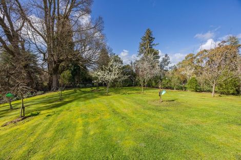 Photo of property in 21 Abbotsford Road, Waipawa, 4210