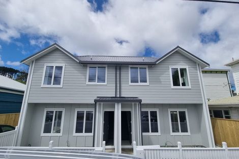 Photo of property in 101 Daniell Street, Newtown, Wellington, 6021