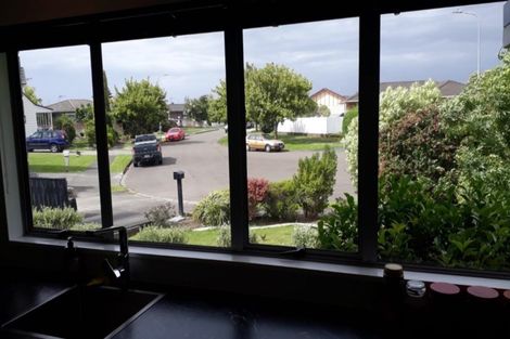 Photo of property in 20 Emmerdale Mews, Highbury, Palmerston North, 4412