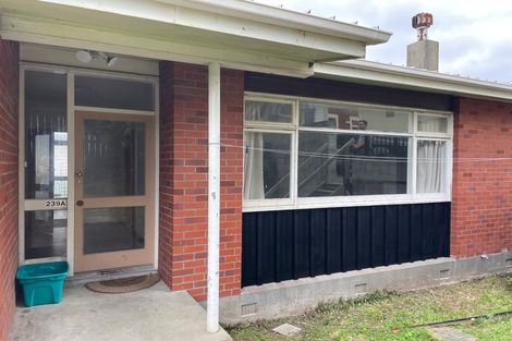 Photo of property in 239u1 Adelaide Road, Newtown, Wellington, 6021