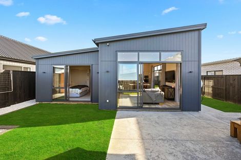 Photo of property in 22 Guillaume Street, Chartwell, Hamilton, 3210