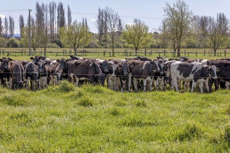 Photo of property in 585 Coutts Island Road, Coutts Island, Christchurch, 7670