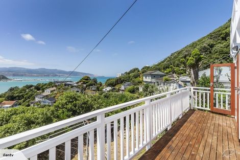 Photo of property in 49 Hungerford Road, Lyall Bay, Wellington, 6022