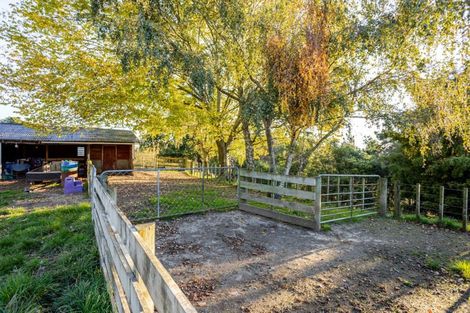Photo of property in 180 Tipapakuku Road, Dannevirke, 4930