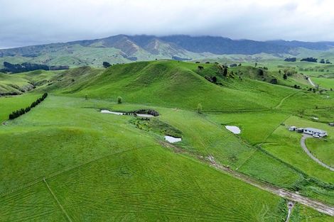 Photo of property in 437 Pinfold Road, Papatawa, 4998