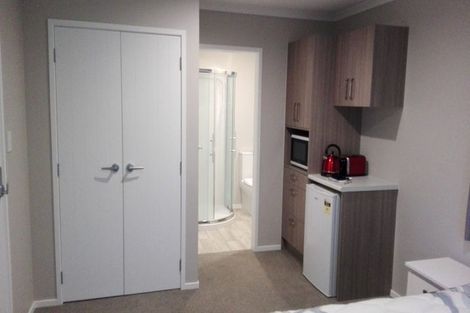 Photo of property in 42b Beatty Street, Melville, Hamilton, 3206