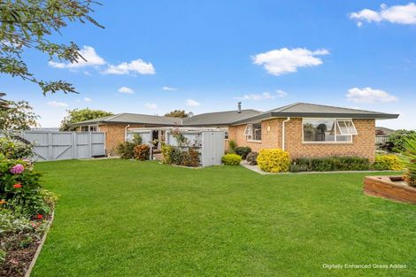 Photo of property in 14 Clifford Place, Amberley, 7410