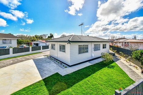 Photo of property in 60 Wakefield Road, Favona, Auckland, 2024