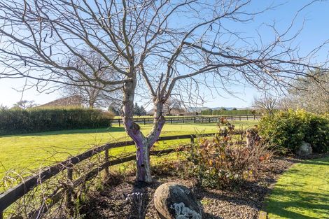 Photo of property in 161 Hautapu Road, Pukemoremore, Cambridge, 3493