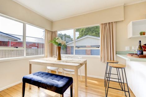 Photo of property in 14 Lamont Street, Chartwell, Hamilton, 3210