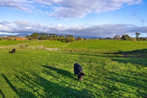 Photo of property in 45 Karioitahi Road, Waiuku, 2683
