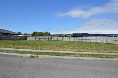 Photo of property in 46 Tainui Street, Levin, 5510
