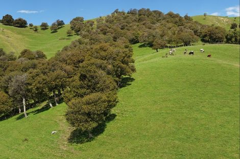Photo of property in 455 Anaroa Road, Raukawa, Hastings, 4174