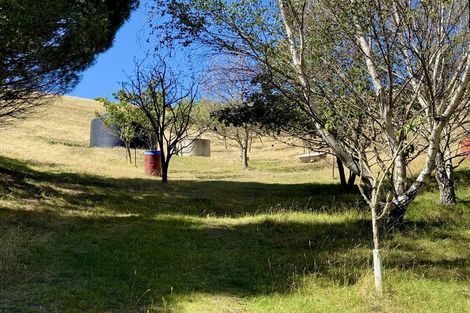 Photo of property in 57 Cattle Valley Road, Kurow, 9435